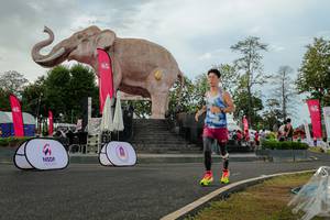 BIB: 
                            <button type="button" onclick="openModal(26528482)" class="btn btn-primary btn-sm float-right btn-popup" data-toggle="modal" data-target=".modal-high-quality">
                        <i class="fas fa-shopping-cart"></i> Add to Cart
                    </button>
                                            <button type="button" onclick="isThisMe(26528482, true)" class="btn btn-success btn-sm float-right btn-popup btn-isme hidden" data-toggle="tooltip" data-placement="bottom" title="นี่คือรูปของคุณใช่ไหม คลิกที่นี่เพื่อเอาเข้าอัลบั้ม">
                        <i class="fas fa-plus"></i> Add to album
                    </button>
                    <button type="button" onclick="isThisMe(26528482, false)" class="btn btn-warning btn-sm float-right btn-popup btn-isnotme hidden">
                        <i class="fas fa-ban"></i> Remove from album
                    </button>